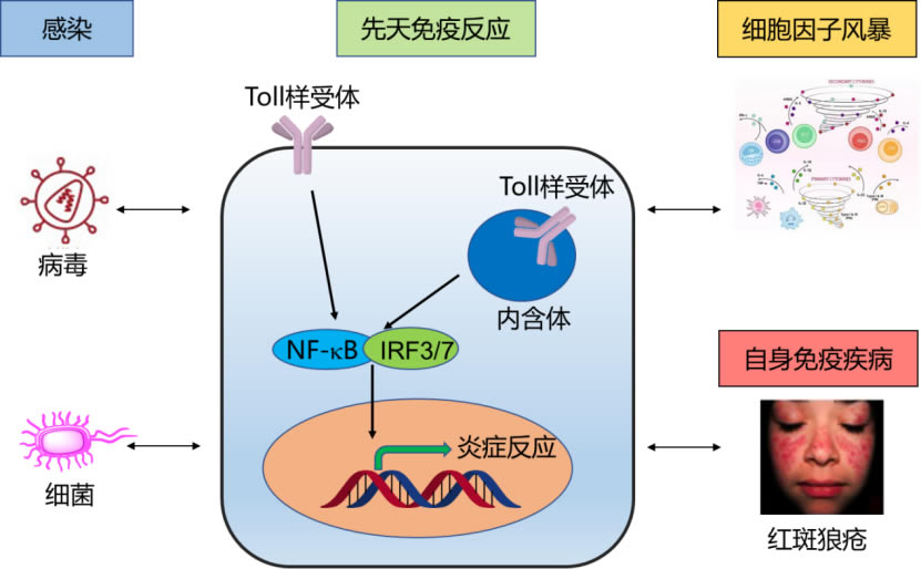 科學基礎.jpg